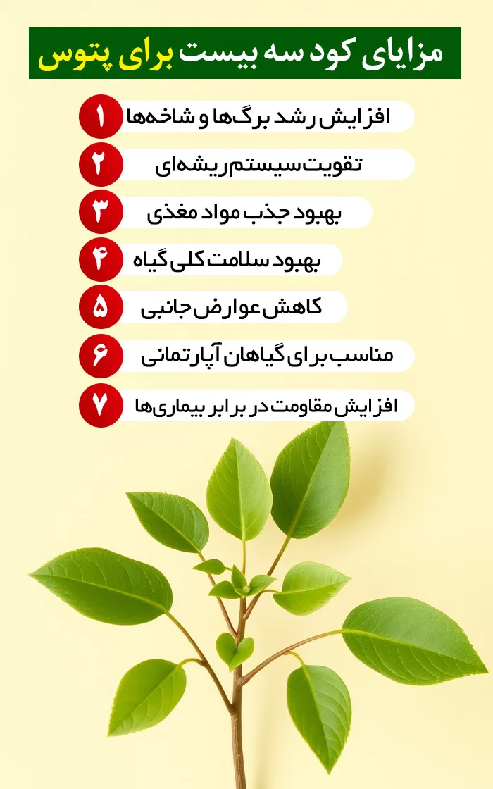 مزایای کود سه بیست برای پتوس