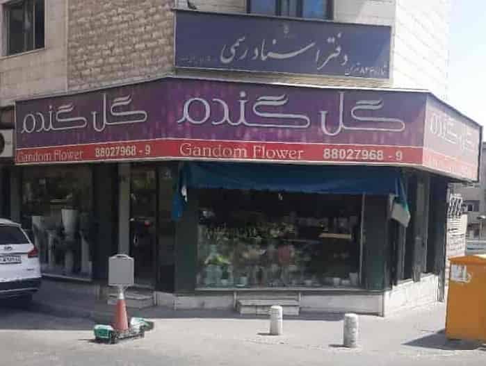 گل فروشی گندم در امیرآباد شمالی و منطقه 6 تهران