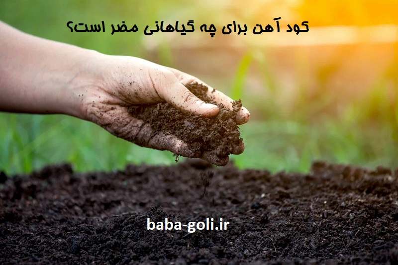 تاثیر کود آهن برای گیاهان