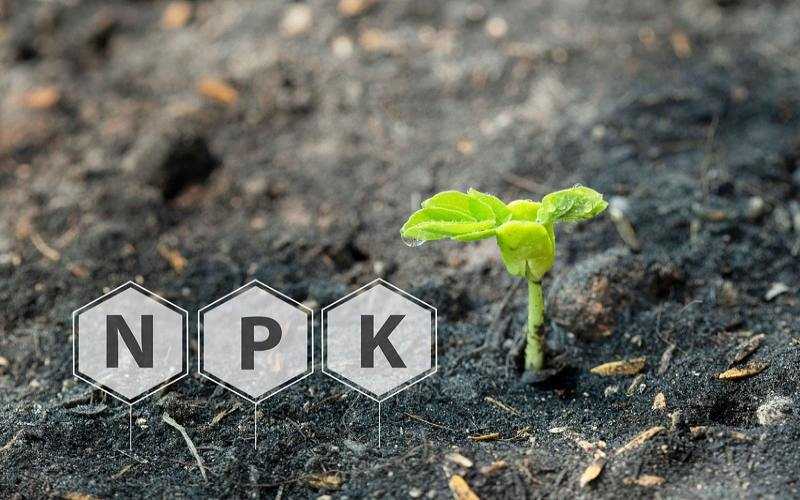 کود npk چیست