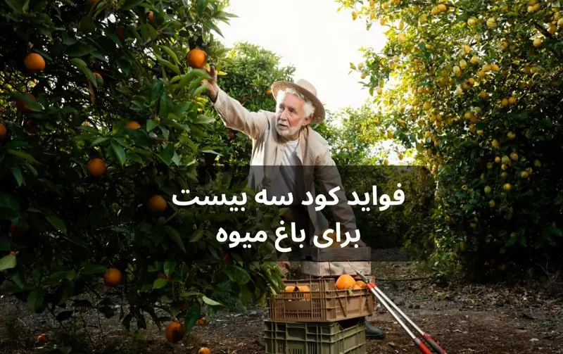 خواص کود سه بیست برای درختان میوه + مقدار و نحوه استفاده