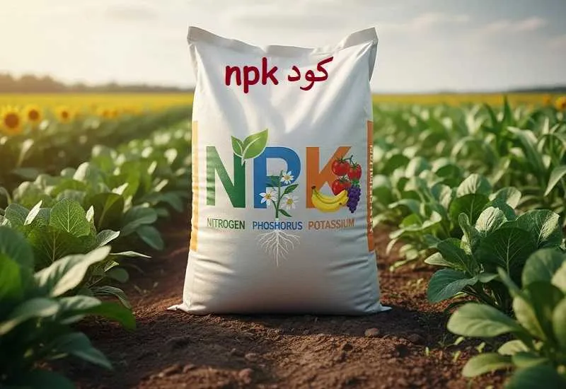 کود npk چیست - نحوه و زمان مصرف برای گیاهان
