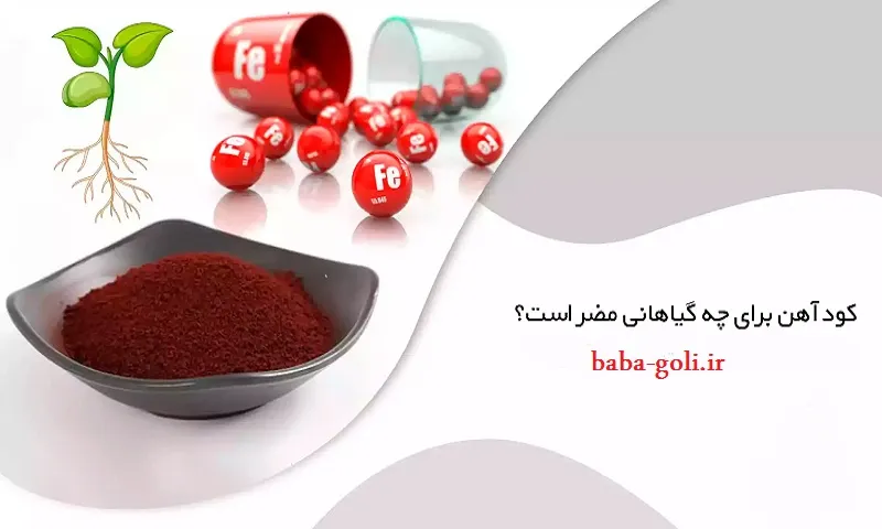 کود آهن برای چه گیاهانی مضر است