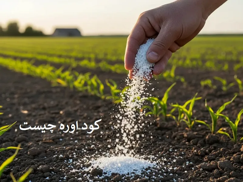 کود اوره چیست - میزان مصرف کاربردهای آن