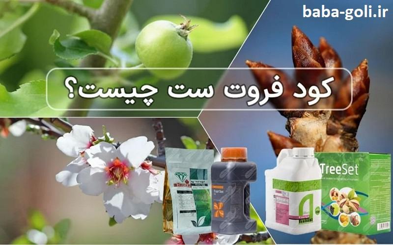 کود فروت ست چیست - بررسی صفر تا صد
