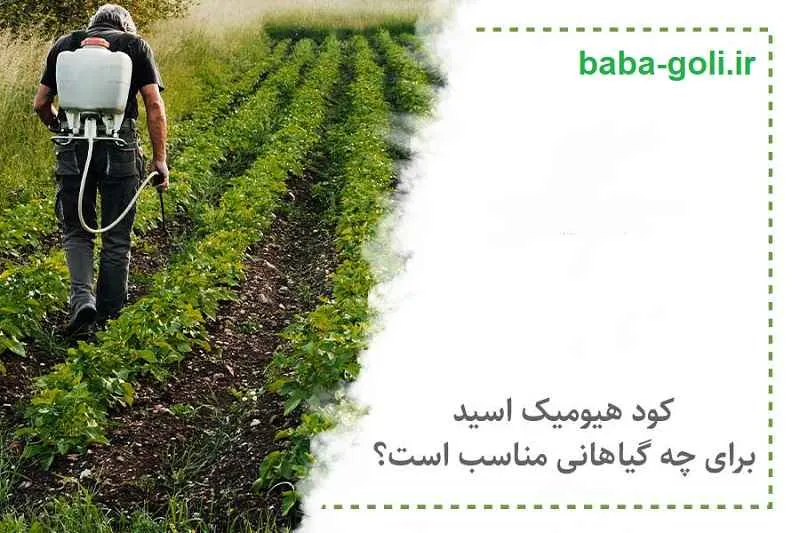 کود هیومیک اسید برای چه گیاهانی مناسب است